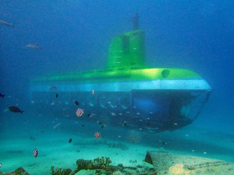 観光潜水艦ディープスター号（これに出会ったら手を振りましょう！）